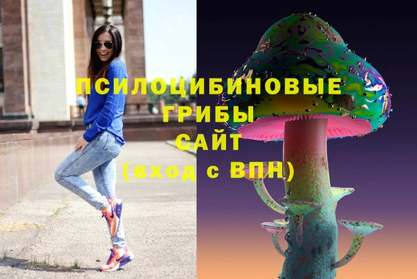 первитин Шадринск